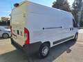 Fiat Ducato 35 2.3 MJT 130CV PL-TM Furg.Maxi  N°GA315 Bianco - thumbnail 6