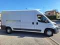 Fiat Ducato 35 2.3 MJT 130CV PL-TM Furg.Maxi  N°GA315 Bianco - thumbnail 3