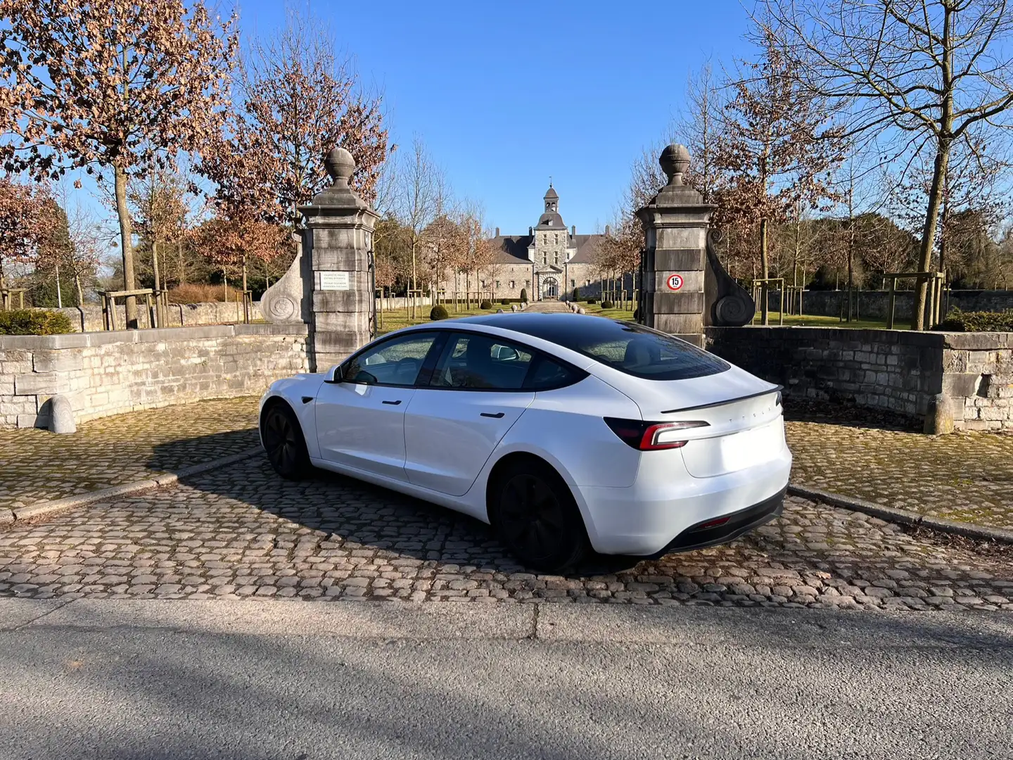 Tesla Model 3 60 kWh RWD Standart Range Premium - 2