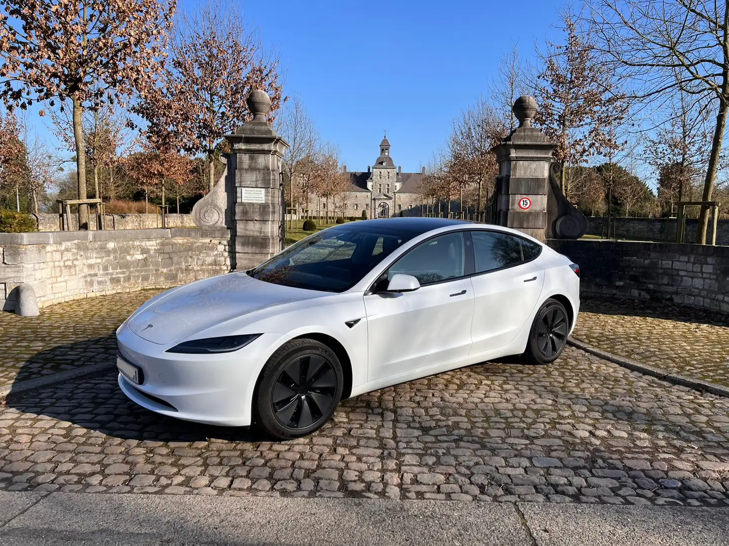Tesla Model 3 60 kWh RWD Standart Range Premium - 1