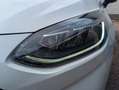 Ford Fiesta 1.0 EcoBoost Hybrid ST-Line X 125pk | Keyless | B& Wit - thumbnail 8
