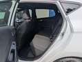 Ford Fiesta 1.0 EcoBoost Hybrid ST-Line X 125pk | Keyless | B& Wit - thumbnail 12