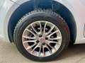 Fiat Punto Evo Punto Evo 1.4 5 porte Emotion Natural Power Gris - thumbnail 19