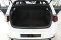 Volkswagen Golf GTI 2.0 tsi Gti Performance 245cv dsg tetto camera 19" Bianco - thumbnail 14