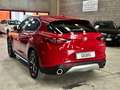 Alfa Romeo Stelvio 2.2 T.diesel 210 CV AT8 Q4 Super Rosso - thumbnail 13