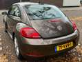 Volkswagen Beetle Beetle 1.2 TSI Design Brązowy - thumbnail 4
