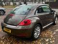 Volkswagen Beetle Beetle 1.2 TSI Design Brązowy - thumbnail 5