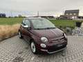 Fiat 500 500 1.2i Star (EU6d-TEMP) Mauve - thumbnail 3