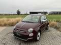 Fiat 500 500 1.2i Star (EU6d-TEMP) Mauve - thumbnail 1