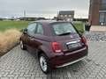 Fiat 500 500 1.2i Star (EU6d-TEMP) Mauve - thumbnail 6