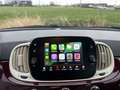 Fiat 500 500 1.2i Star (EU6d-TEMP) Mauve - thumbnail 8