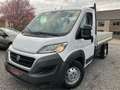 Fiat Ducato 3.0HDI ***revisee et garantie 1 an*** Blanco - thumbnail 1