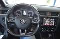Skoda Octavia Combi RS AUTOMATIK / XENON / NAVI / PDC Grau - thumbnail 13