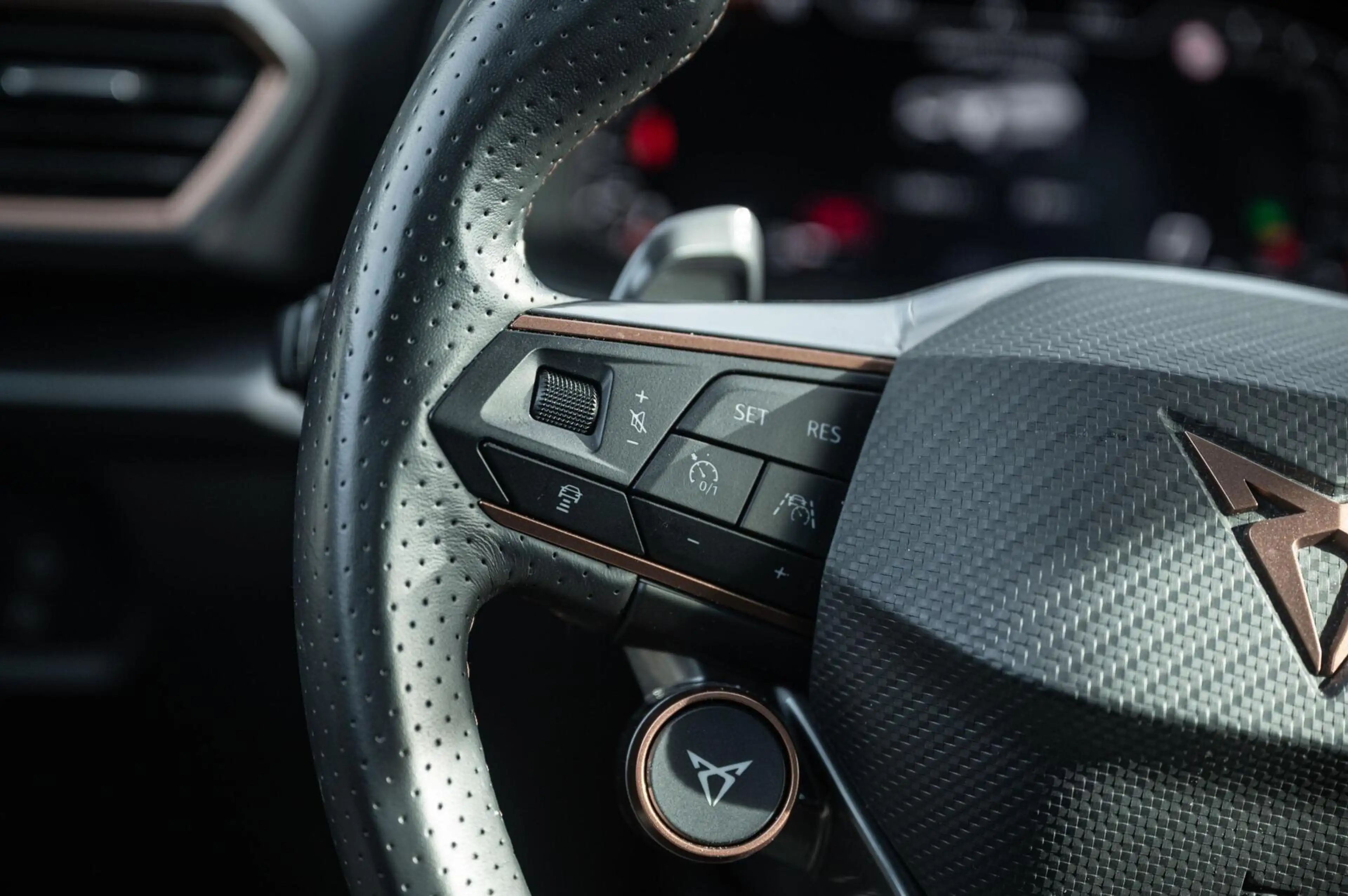 CUPRA Formentor VZ5 2.5 TSI SCHAALSTOELEN CAMERA BEATS ACC — photo 15