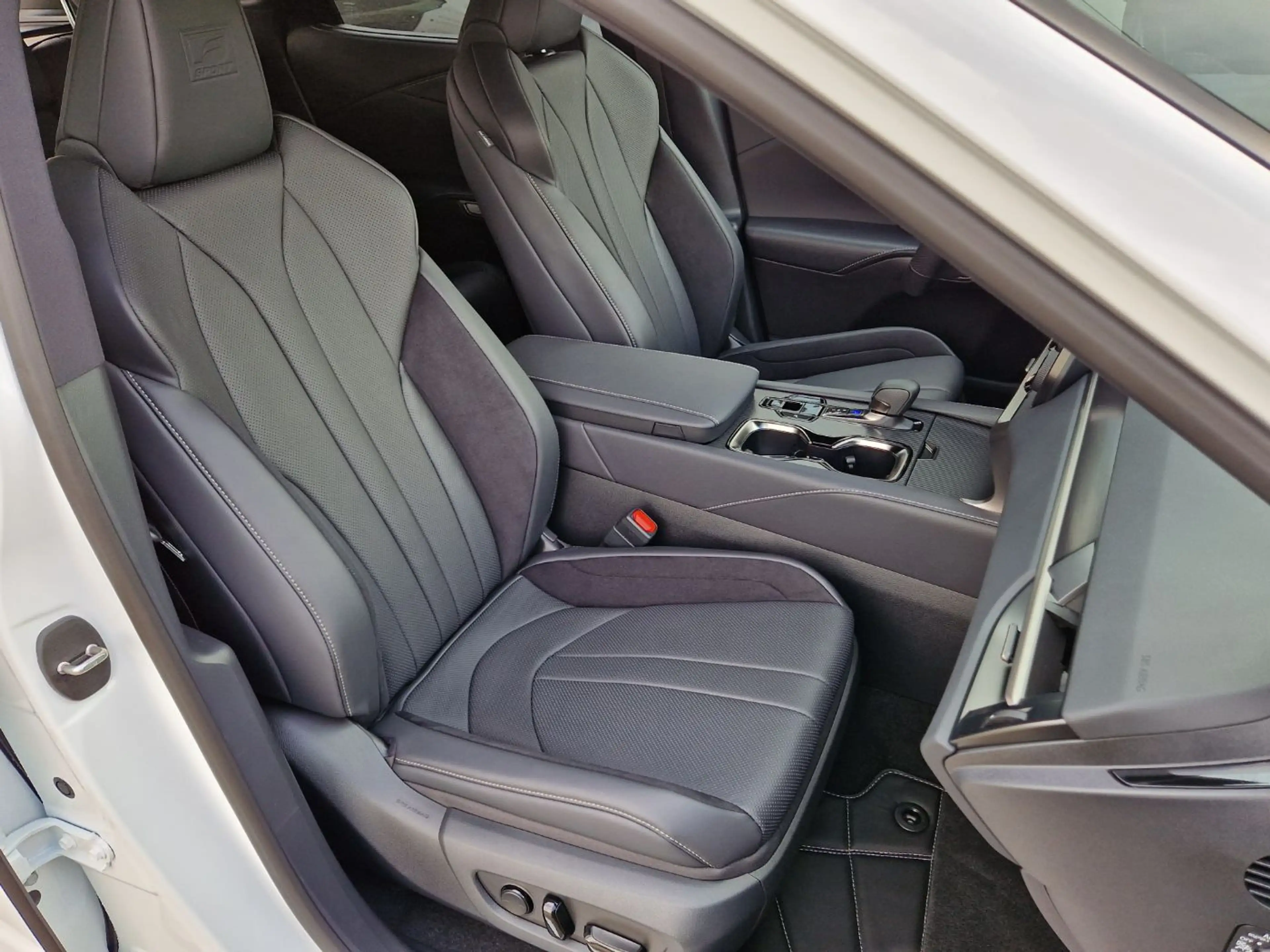 Lexus RX 500h F-Sport Performance Mark Leivinson Pano — photo 11