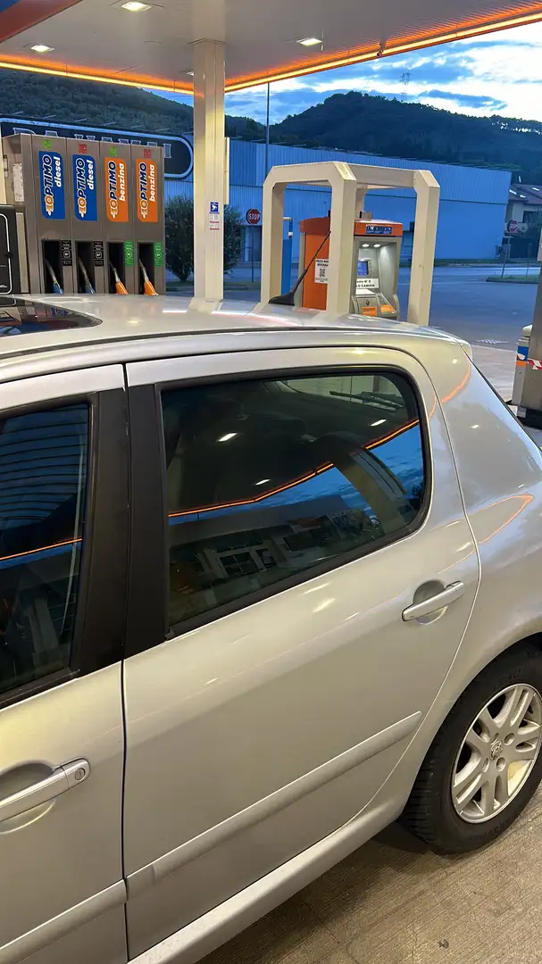 Peugeot 307 5p 1.4 hdi Grigio - 2