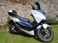 Honda Forza 125 BLANC ET BLEU Blanc - thumbnail 1