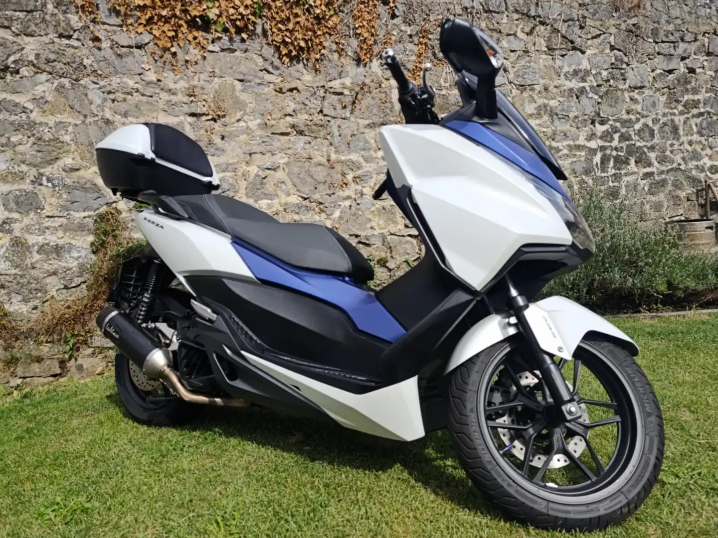 Honda Forza 125 BLANC ET BLEU Blanc - 1