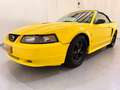 Ford Mustang USA Convertible 3.8 V6 Automaat Geel - thumbnail 3
