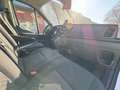 Ford Transit Kasten 350 L3 Trend/Ladefläche Blanco - thumbnail 6