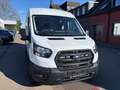 Ford Transit Kasten 350 L3 Trend/Ladefläche Blanco - thumbnail 3