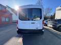 Ford Transit Kasten 350 L3 Trend/Ladefläche Blanco - thumbnail 5