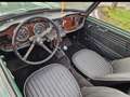 Triumph TR4 Grün - thumbnail 2