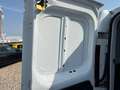 Fiat Talento Kasten L2H1  KLIMA+KAMERA+PDC+GARANTIE Weiß - thumbnail 3