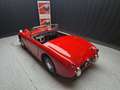 Austin-Healey Sprite frog eye Rouge - thumbnail 18