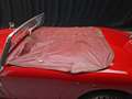 Austin-Healey Sprite frog eye Rouge - thumbnail 6