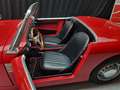 Austin-Healey Sprite frog eye Rouge - thumbnail 12