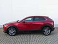 Mazda CX-30 2.0l (150PS) Selection Design-/ Premium-Paket Matr Rouge - thumbnail 4