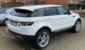 Land Rover Range Rover Evoque Range Rover Evoque eD4 Pure Weiß - thumbnail 3