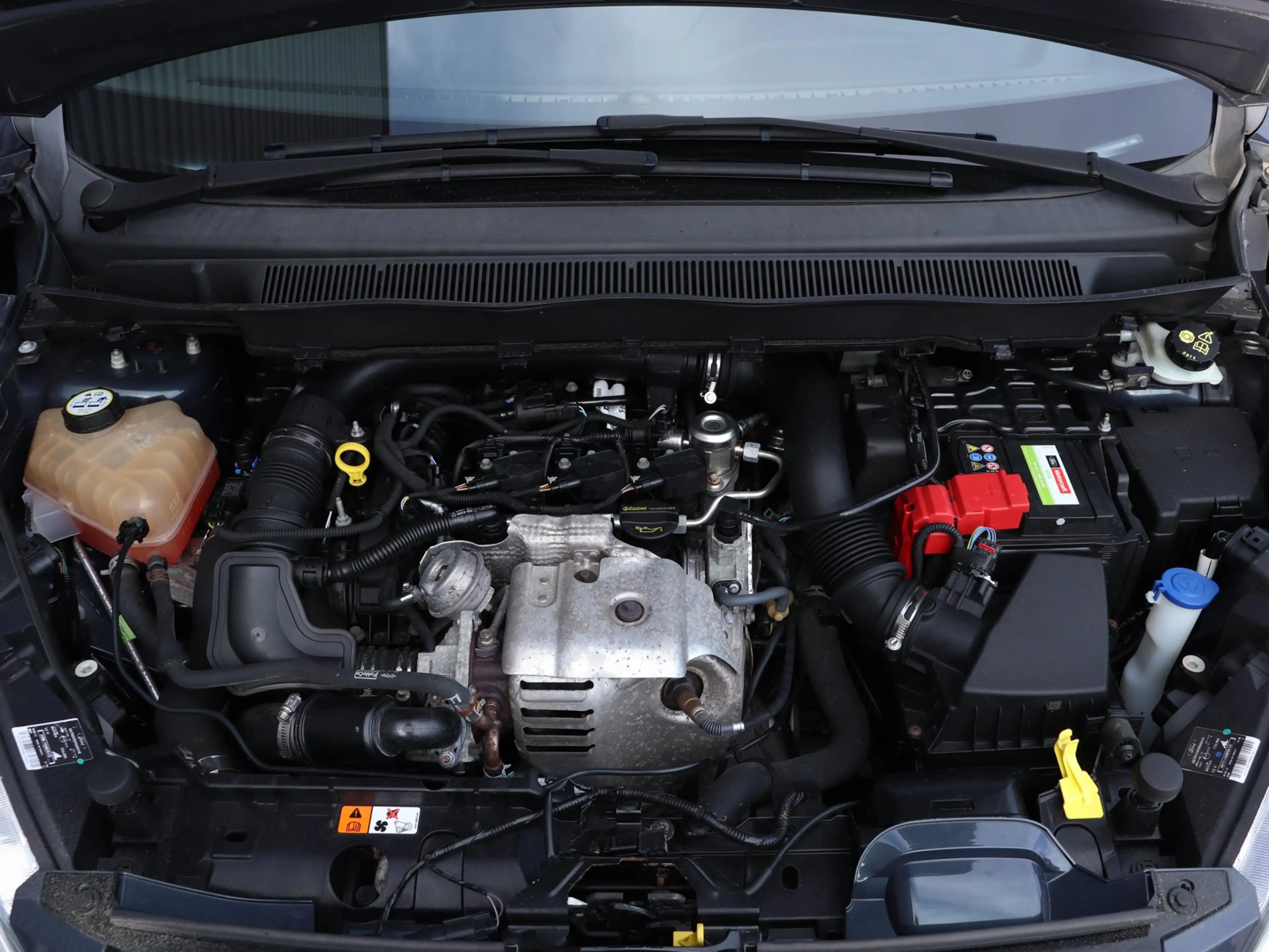 Ford B-Max 1.0 EcoBoost Titanium *Dealeronderh.*Navigatie* — photo 14