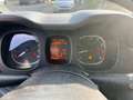 Fiat Panda Panda III 2019 4x4 0.9 t.air t. 4x4 s Grigio - thumbnail 10