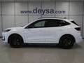 Ford Kuga ST-Line X 2.5 Duratec PHEV 178kW Auto Blanco - thumbnail 2
