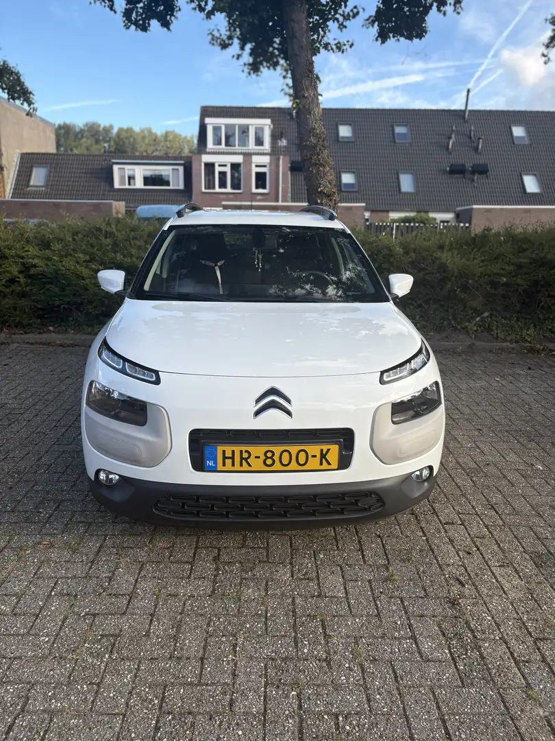 Citroen C4 Cactus 1.2 PureT. Business Wit - 1