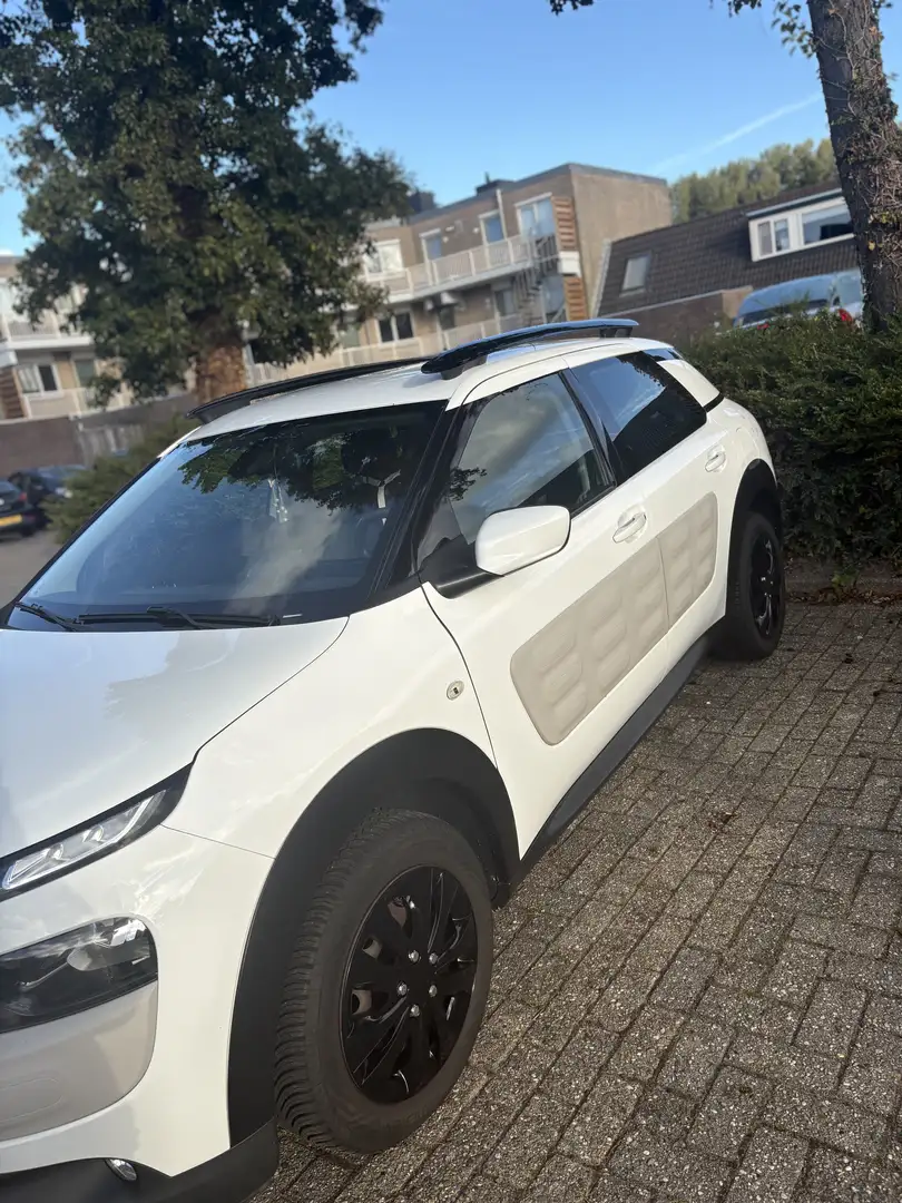 Citroen C4 Cactus 1.2 PureT. Business Wit - 2
