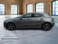 Mercedes-Benz A 180 progressive AHK/RFK/MULTIBEAM/WINTERP. Grau - thumbnail 8