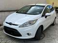 Ford Fiesta Fiesta 5p 1.6 tdci Individual dpf Bianco - thumbnail 3