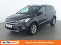 Ford Kuga 1.5 EcoBoost Titanium Grün - thumbnail 1