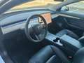 Tesla Model 3 Model 3 Long Range Dual Motor awd Bianco - thumbnail 9