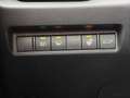 Toyota RAV 4 2.5 Hybrid Business Plus (Navi,Camera,Led) Grijs - thumbnail 14