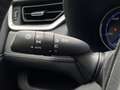 Toyota RAV 4 2.5 Hybrid Business Plus (Navi,Camera,Led) Grijs - thumbnail 19