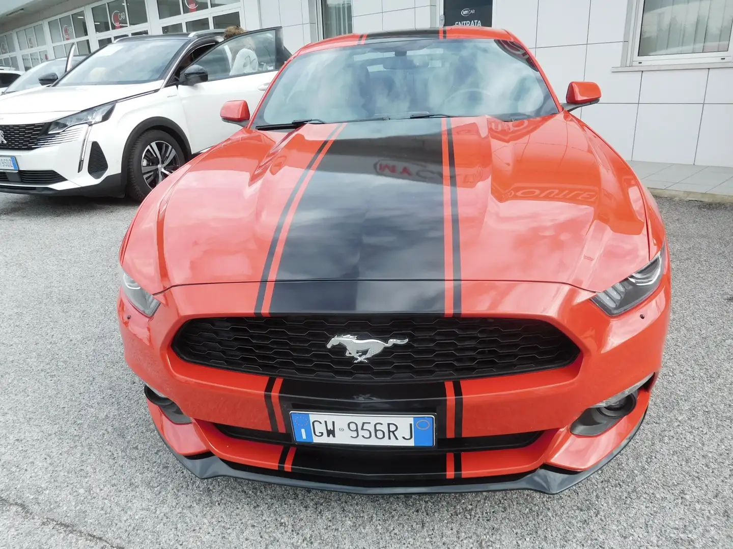 Ford Mustang Mustang Fastback 2.3 EcoBoost aut. Rot - 2