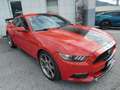 Ford Mustang Mustang Fastback 2.3 EcoBoost aut. Rot - thumbnail 3