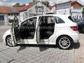 Mercedes-Benz B 200 CDI AUTOMATIK/Lamellendach/Leder/Xenon/PDC Weiß - thumbnail 7