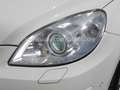Mercedes-Benz B 200 CDI AUTOMATIK/Lamellendach/Leder/Xenon/PDC Weiß - thumbnail 36