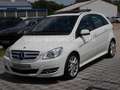Mercedes-Benz B 200 CDI AUTOMATIK/Lamellendach/Leder/Xenon/PDC Weiß - thumbnail 3
