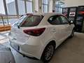 Mazda 2 1.5 e-Skyactiv-G 90 CV M Hybrid Exceed Bianco - thumbnail 4